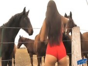 Девка сосет у коня порно